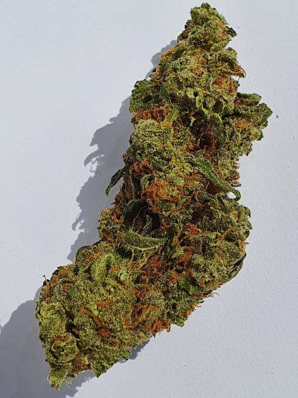Agent Orange