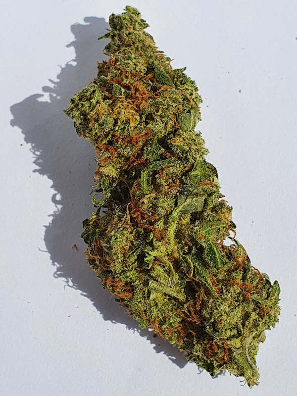 Agent Orange