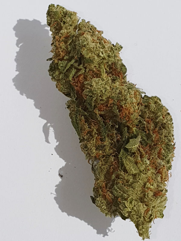 Agent Orange