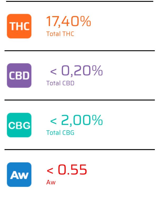 Garlic Cookies - GemmaCert test