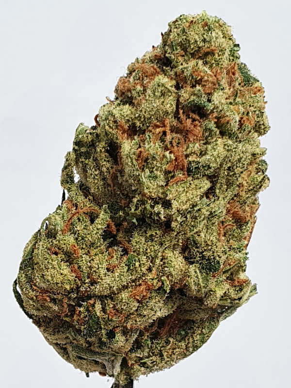 S5 Haze