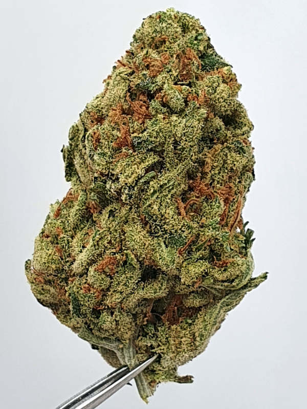 S5 Haze