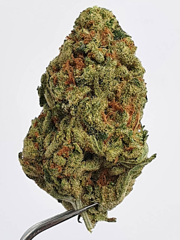 S5 Haze