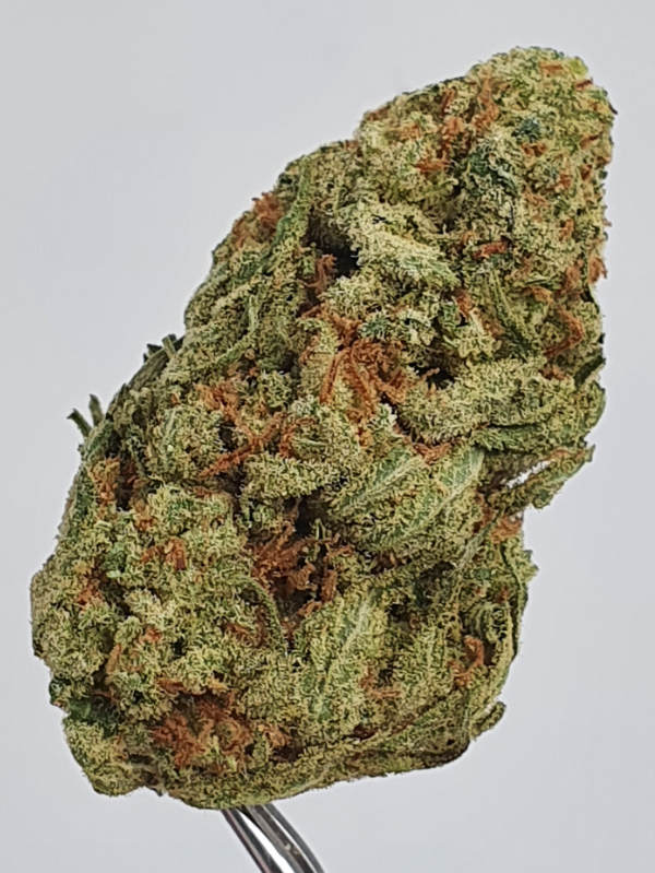 S5 Haze