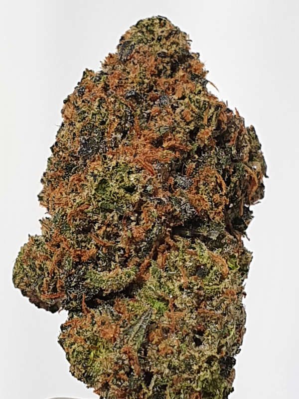 Ayahuasca Purple