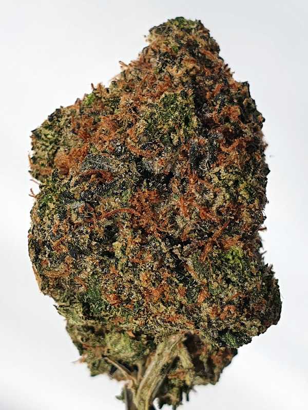 Ayahuasca Purple