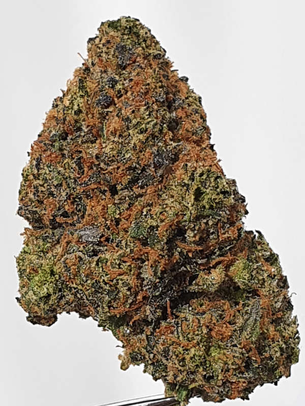 Ayahuasca Purple