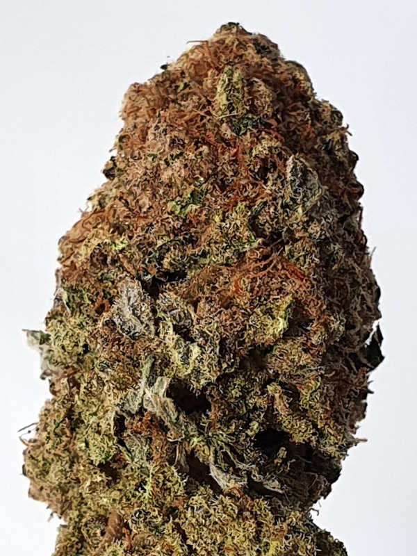 High Desert Sour Sage