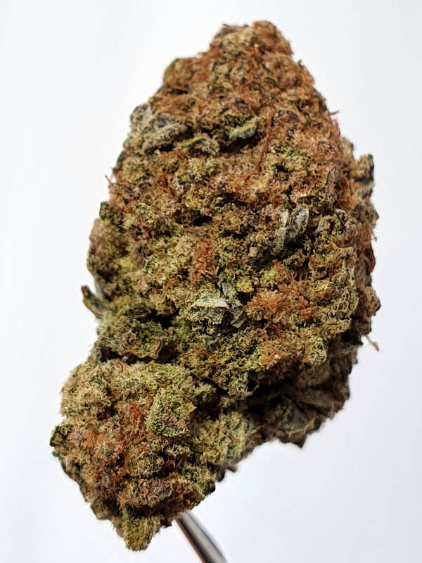 High Desert Sour Sage