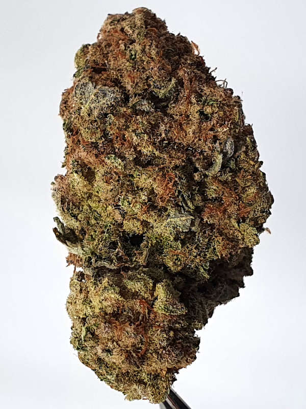 High Desert Sour Sage