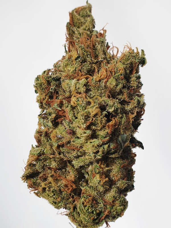 Golden Lemon