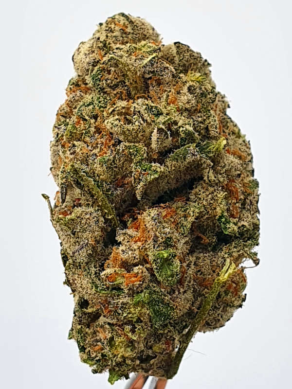 White Durban