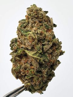 White Durban