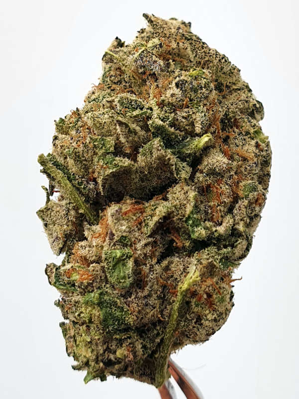 White Durban
