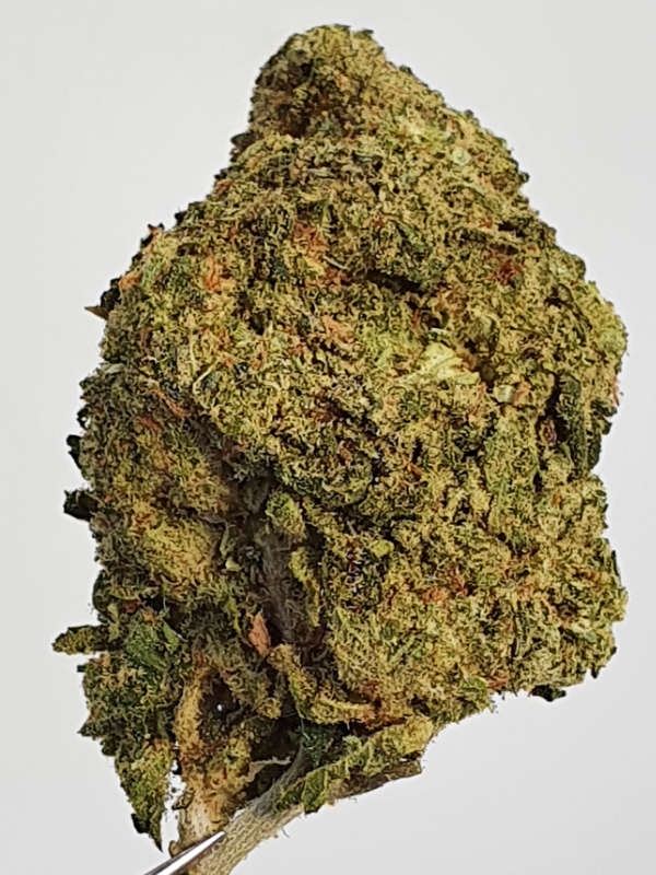 Sherbet Cake