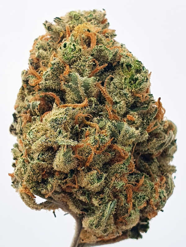 Lemon Haze