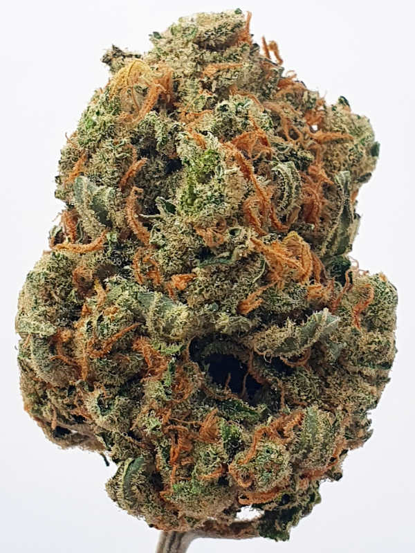 Lemon Haze