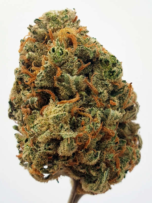 Lemon Haze