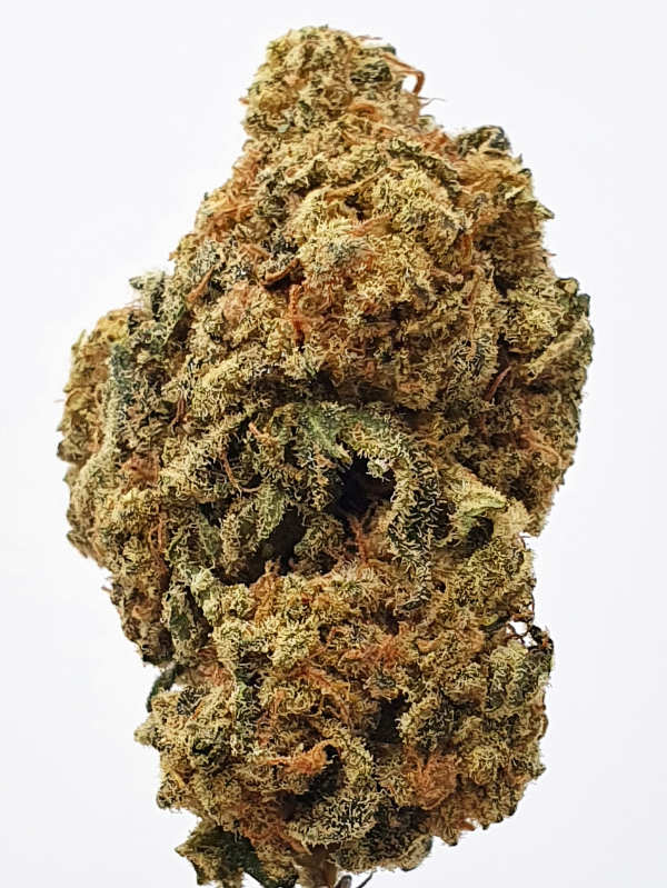 Tropicana