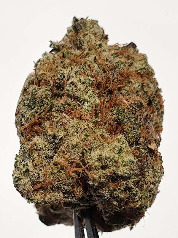 Gorilla Butter