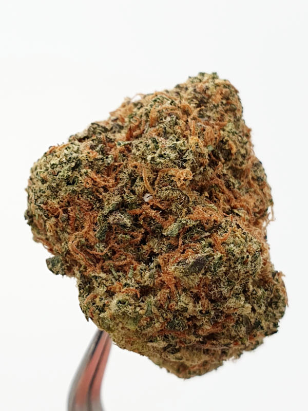 Blueberry