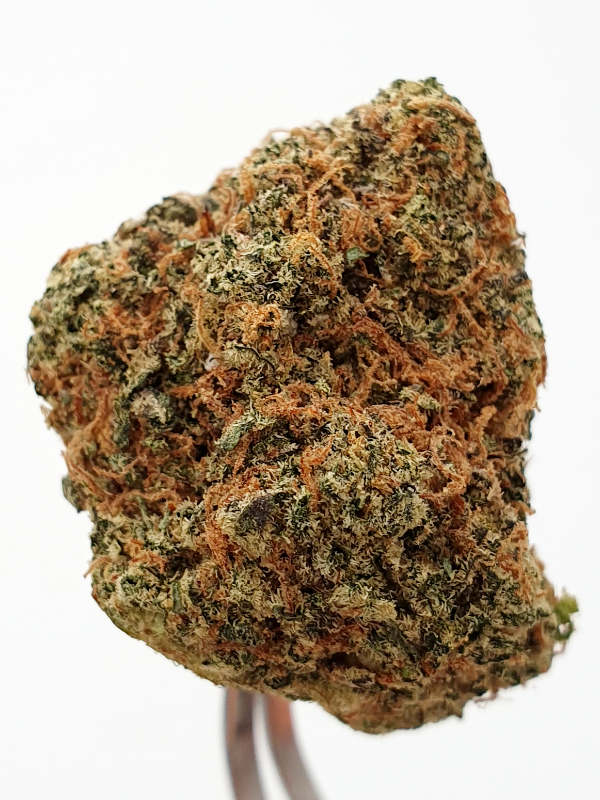 Blueberry