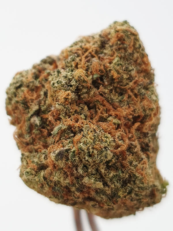 Blueberry