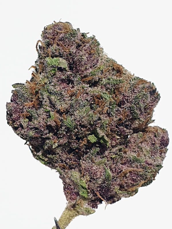Tangie Breath