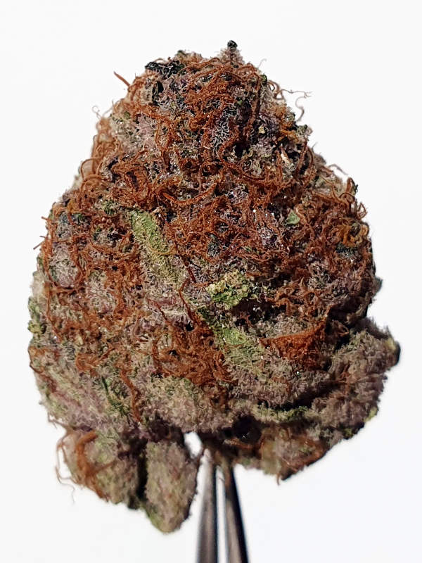 Tropicana Cherry