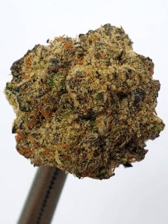Gas Truffle