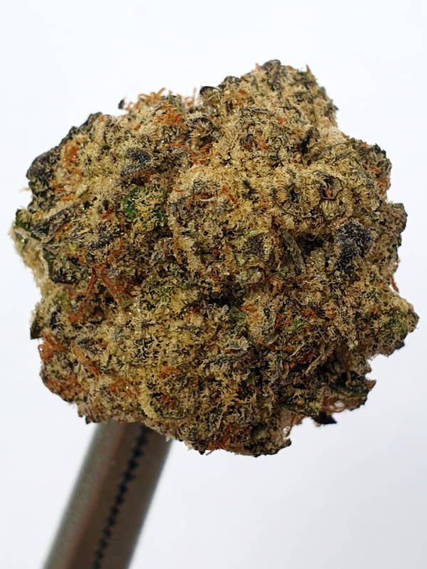 Gas Truffle