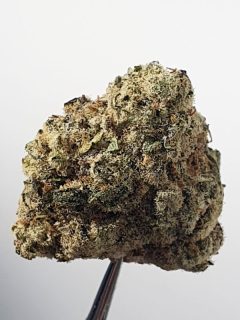 Skunk Berry