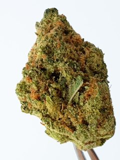 Strawberry Shortcake