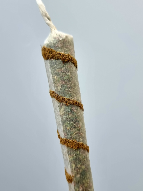 Rookies Premium Rolled Rilla Twister