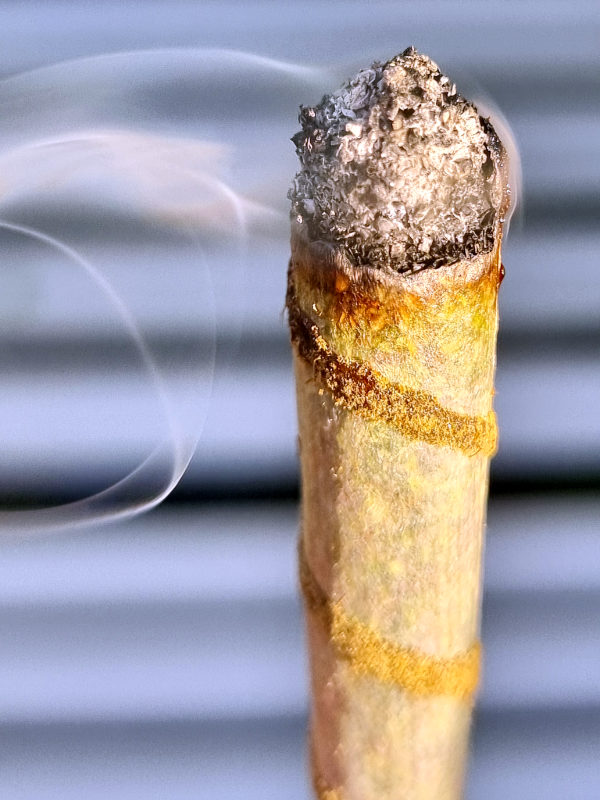 Rookies Premium Rolled Rilla Twister