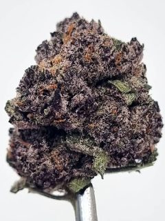 Super Boof Cherry