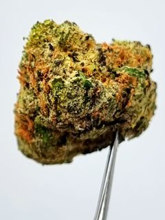 Candy Gas