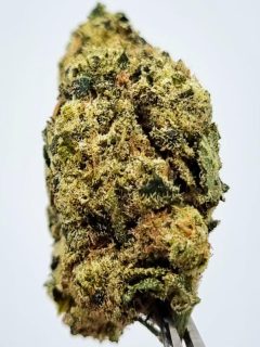 Hash Burger