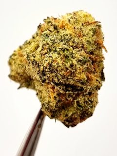 Pineapple MAC