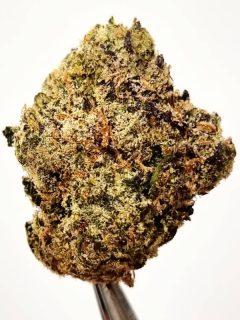 Rainbow Crush