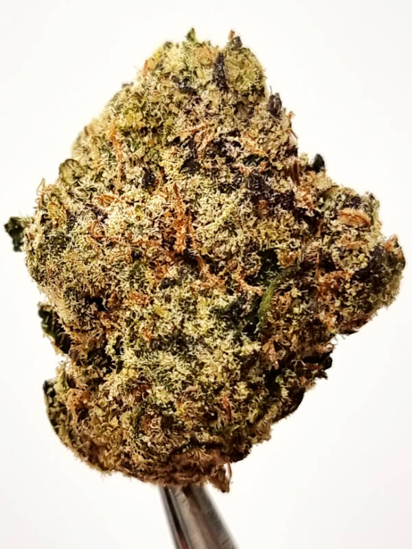 Rainbow Crush