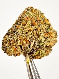 Cherry Pie