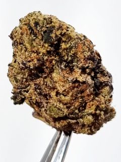 Dark Matter