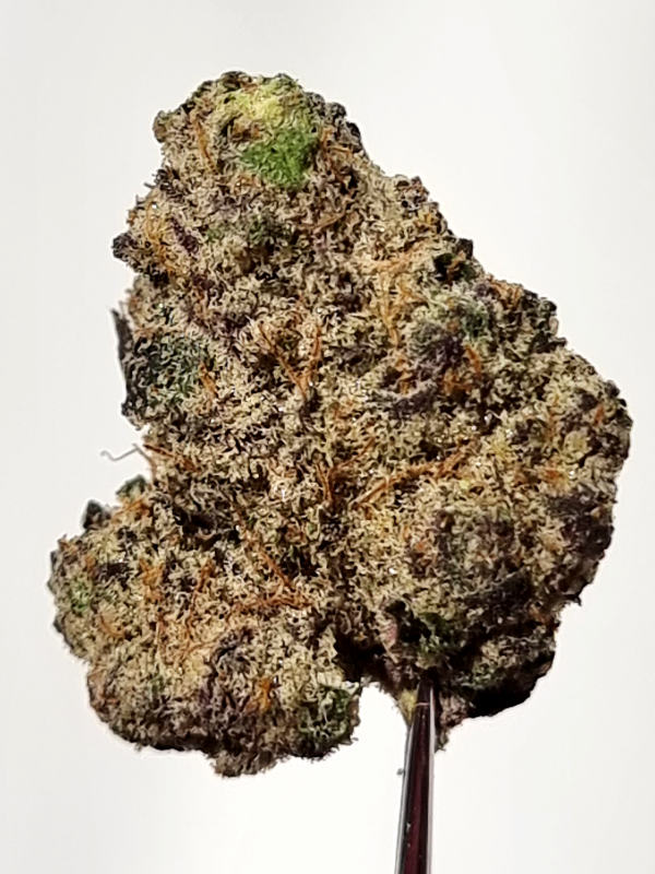 Gas Mint