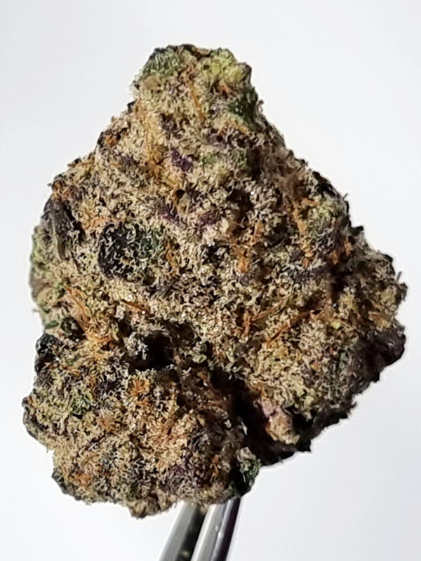 Gas Mint