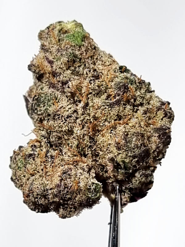 Gas Mint